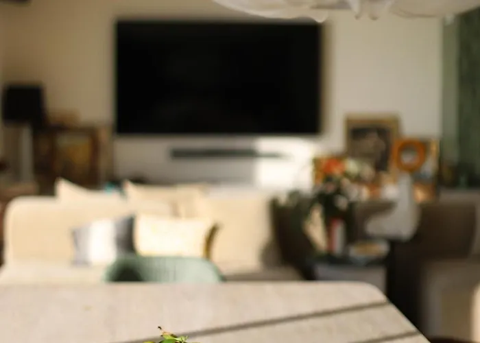 Retine * 아작시오