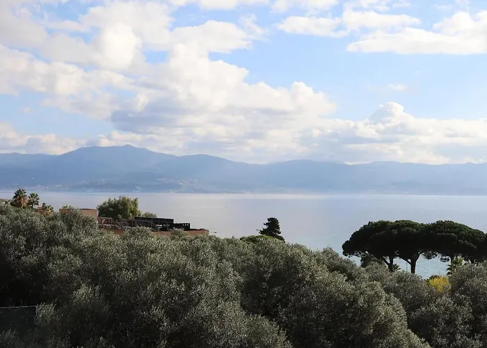 Retine * 아작시오